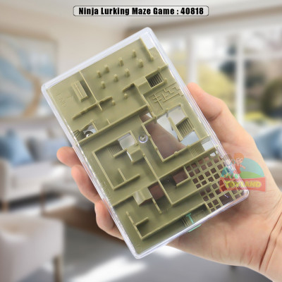 Ninja Lurking Maze Game : 40818